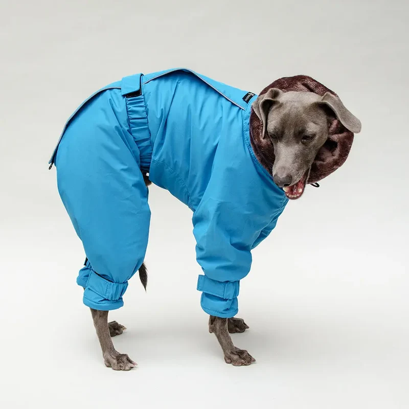 Kelly IG Snow - winter Hundeoverall - blue - SDW