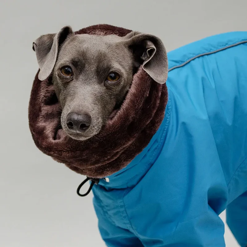 Kelly IG Snow - winter Hundeoverall - blue - SDW