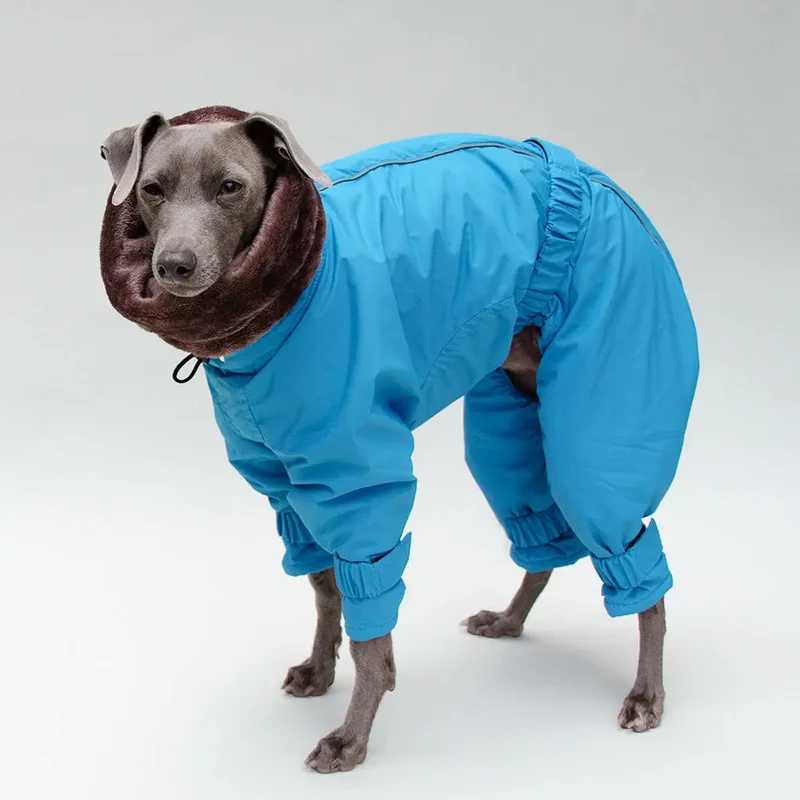 Kelly IG Snow - winter Hundeoverall - blue - SDW