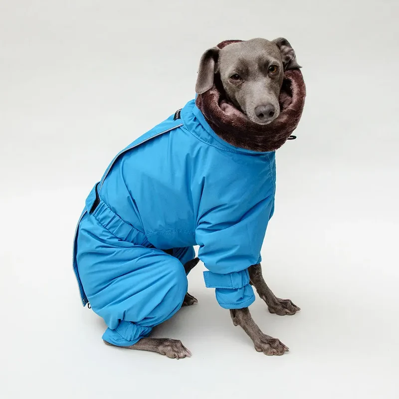 Kelly IG Snow - winter Hundeoverall - blue - SDW
