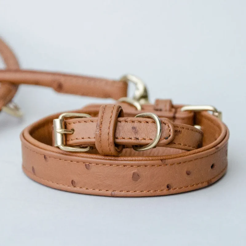 Halsband "Ostrich" aus hochwertigem Büffelleder