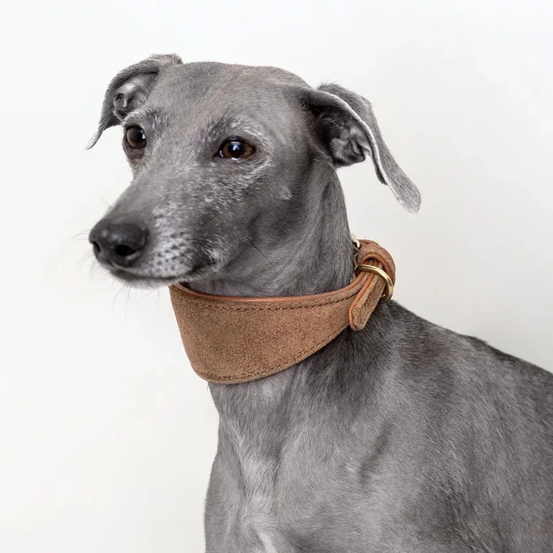 Windhund Lederhalsband "Nubuk-Greyhound"