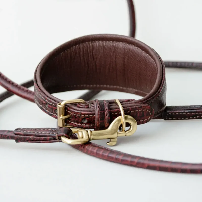 Gepolstertes Windhund-Halsband "Greyhound-Croco"