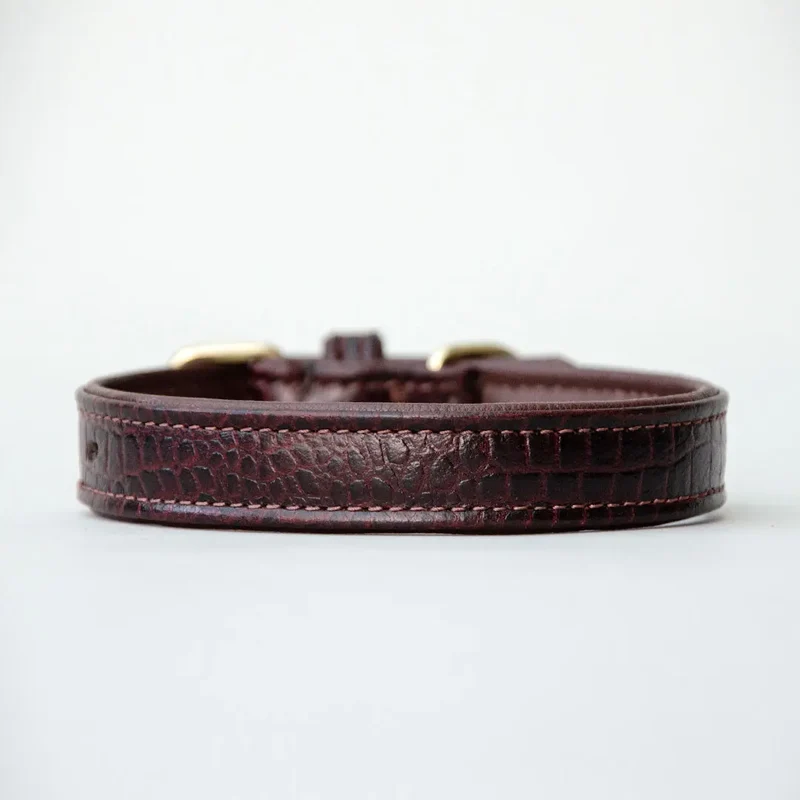 Gepolstertes Lederhalsband in Kroko-Optik