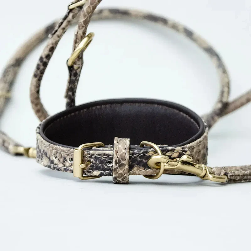 Lederhalsband "Sighthound Snake" für Windhunde