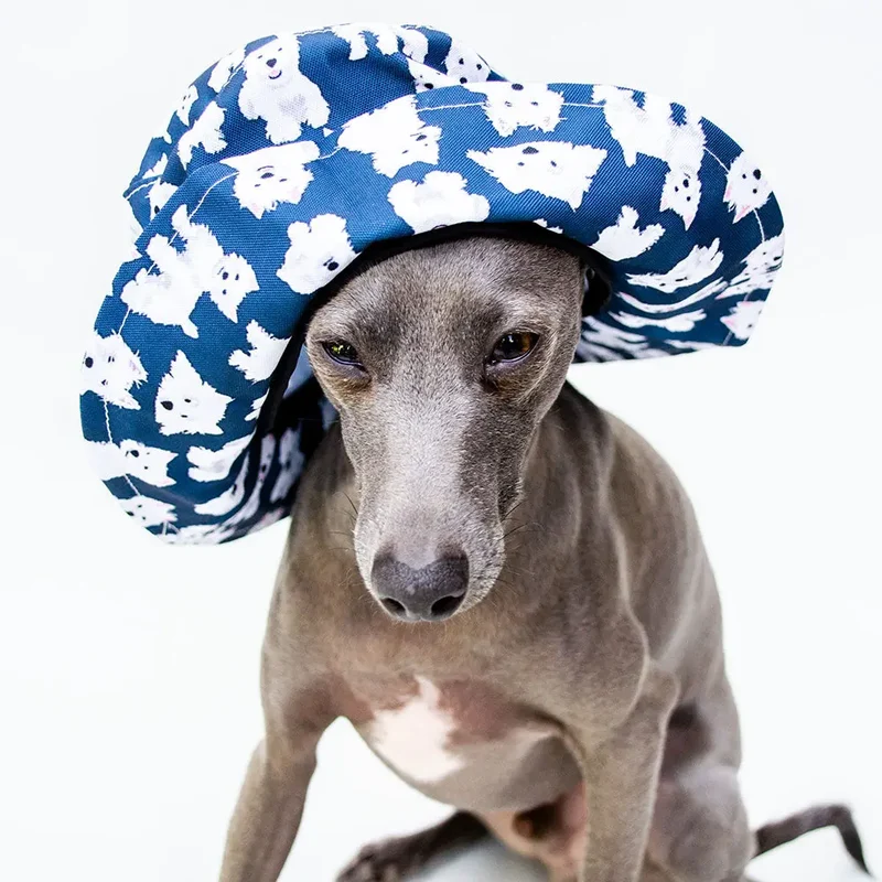 "Happy Hat" mit Hundemotiven