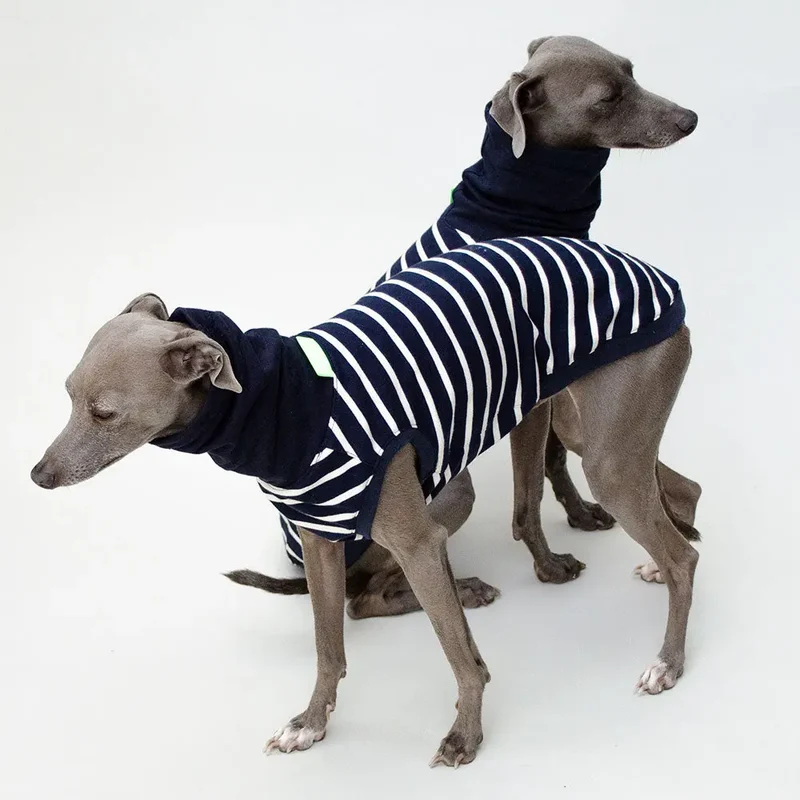 Hundeshirt "MARSEILLE" marine-streifen