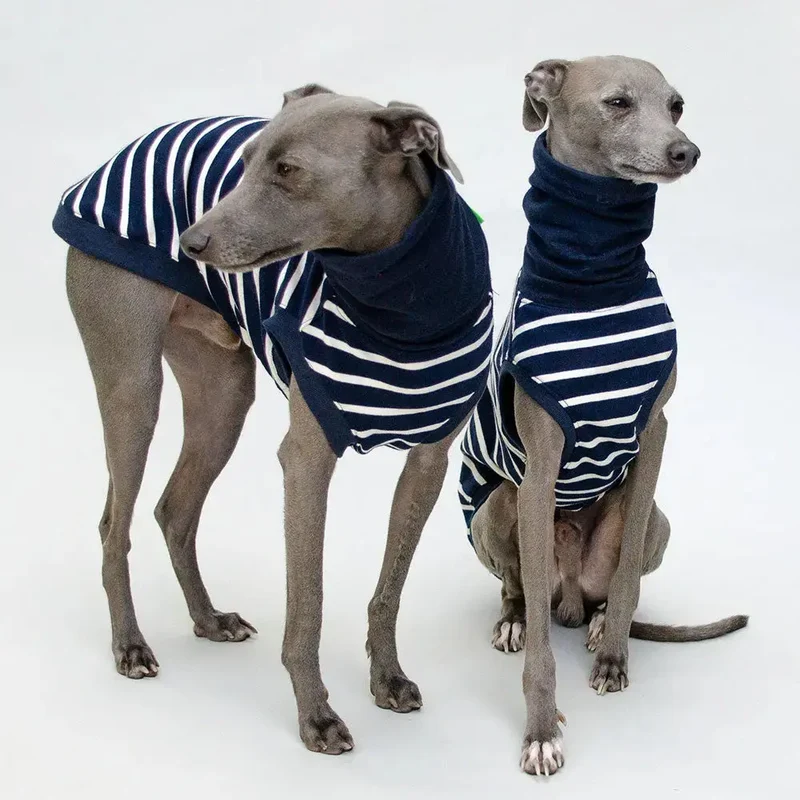 Hundeshirt "MARSEILLE" marine-streifen