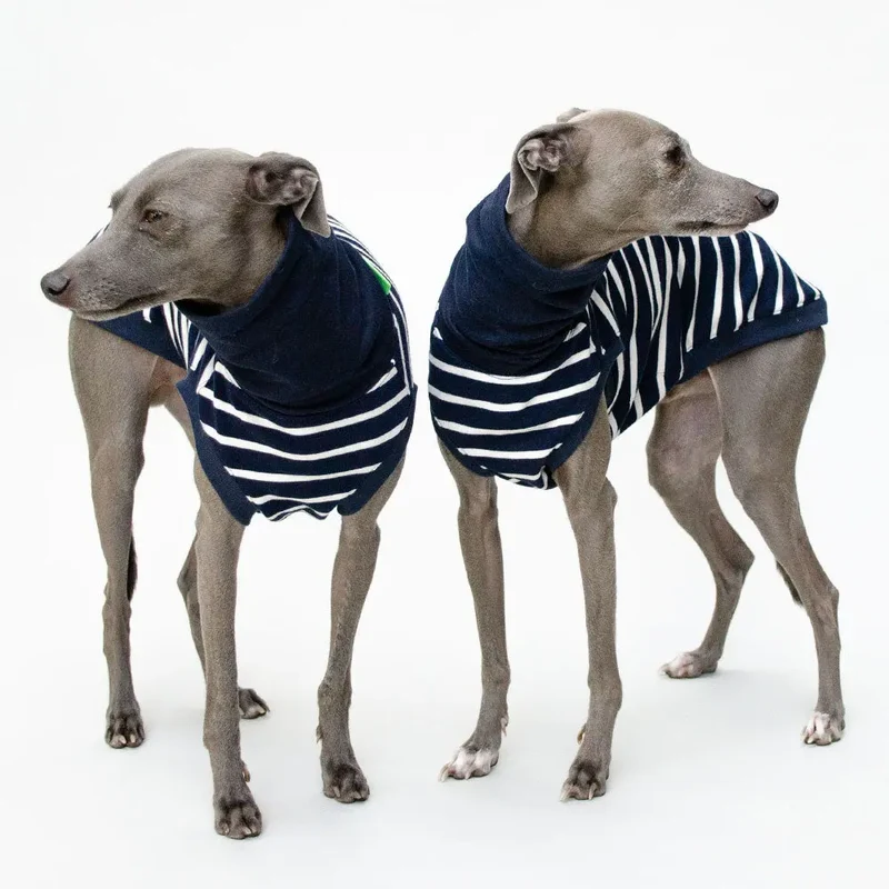 Hundeshirt "MARSEILLE" marine-streifen