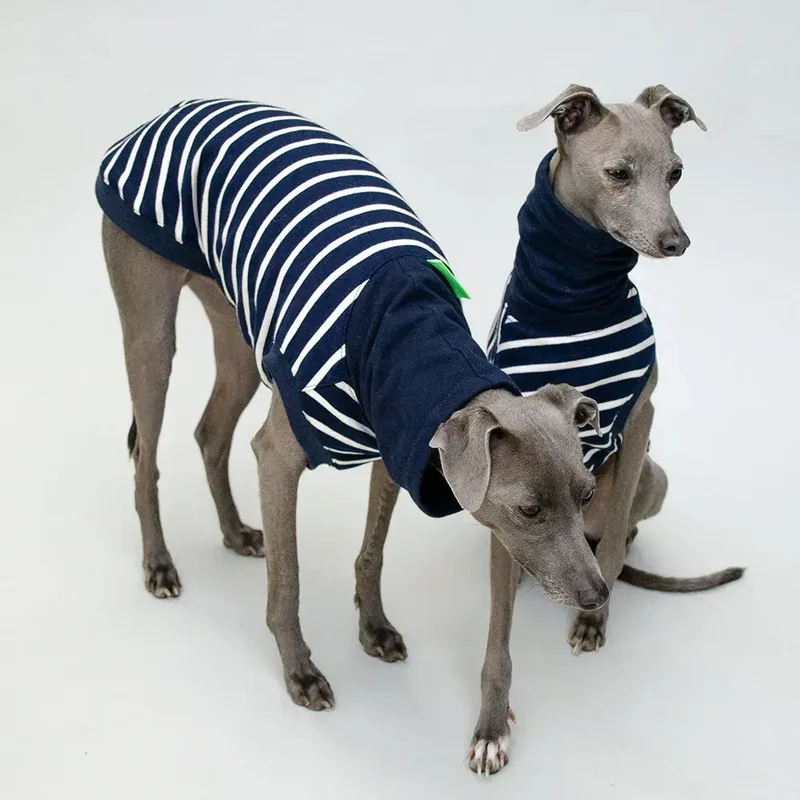 Hundeshirt "MARSEILLE" marine-streifen
