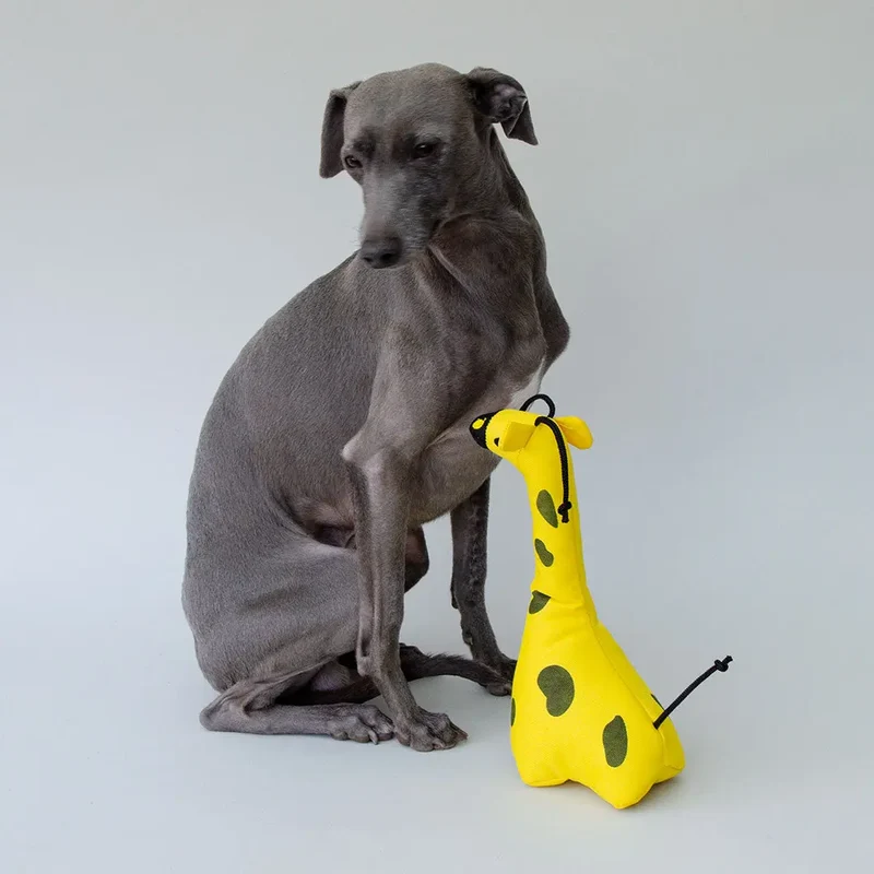 Spielzeug für Hunde "Jirafa"