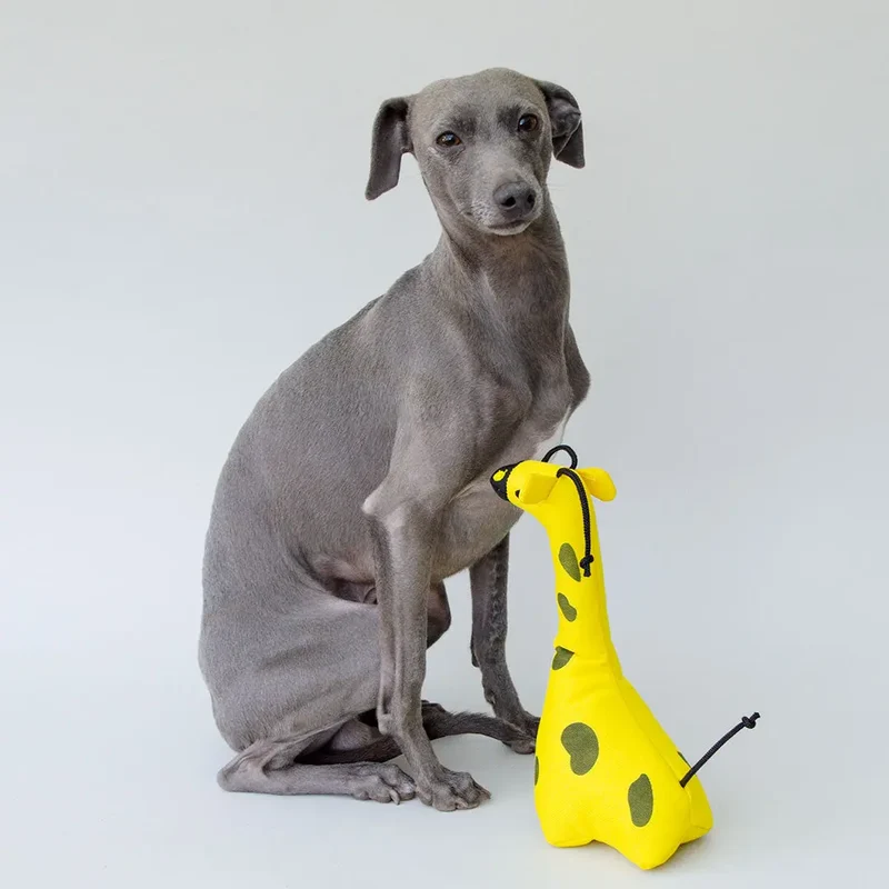Spielzeug für Hunde "Jirafa"