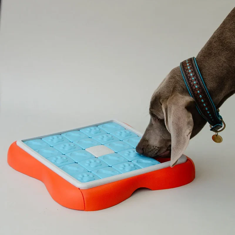 Snack-Spiel für Hunde "Challenge"