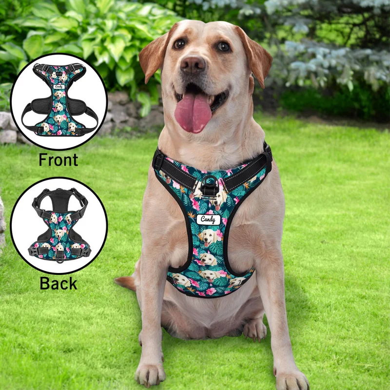 Hundegeschirr personalisiert Hawaii Style - Geschenke für Tierliebhaber