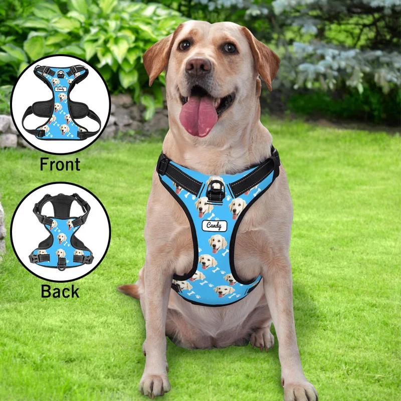 Hundegeschirr Einstellbare reflektierende Weste personalisiert