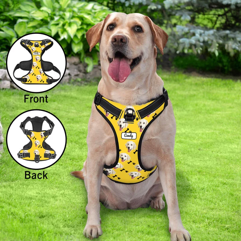 Hundegeschirr Einstellbare reflektierende Weste personalisiert