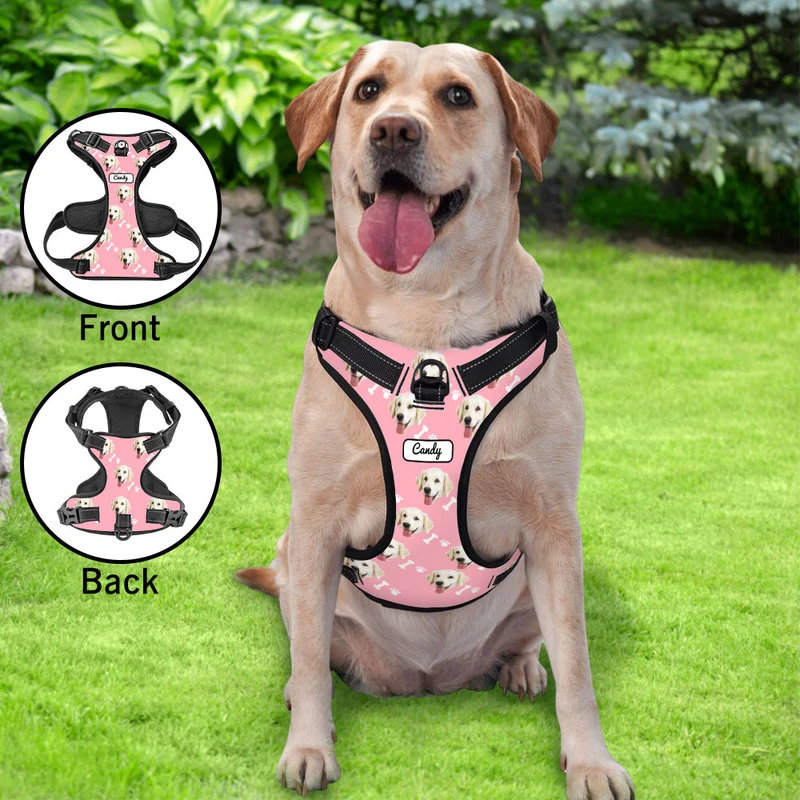 Hundegeschirr Einstellbare reflektierende Weste personalisiert