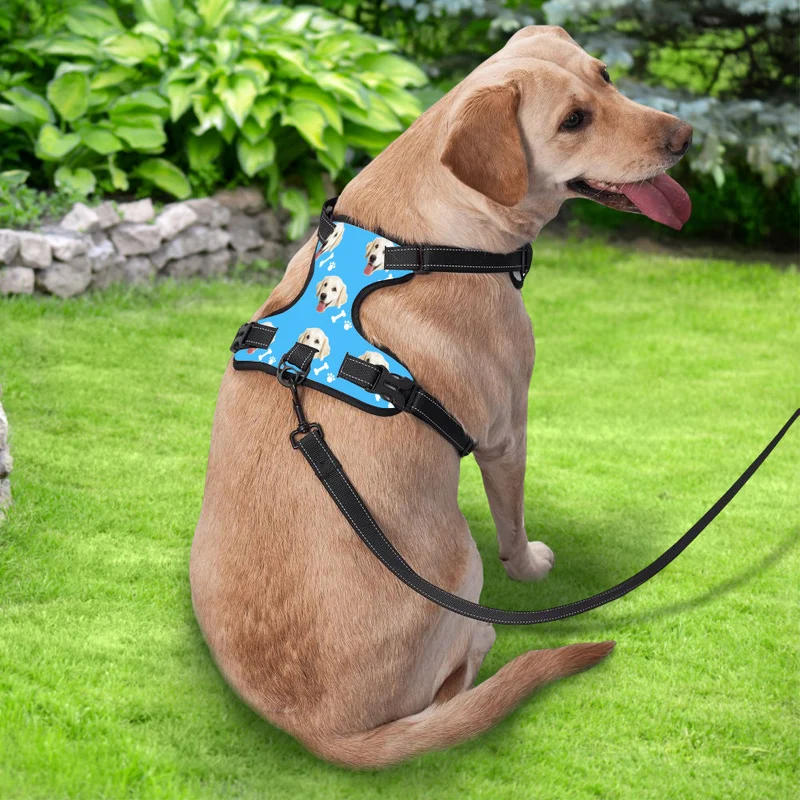Hundegeschirr Einstellbare reflektierende Weste personalisiert