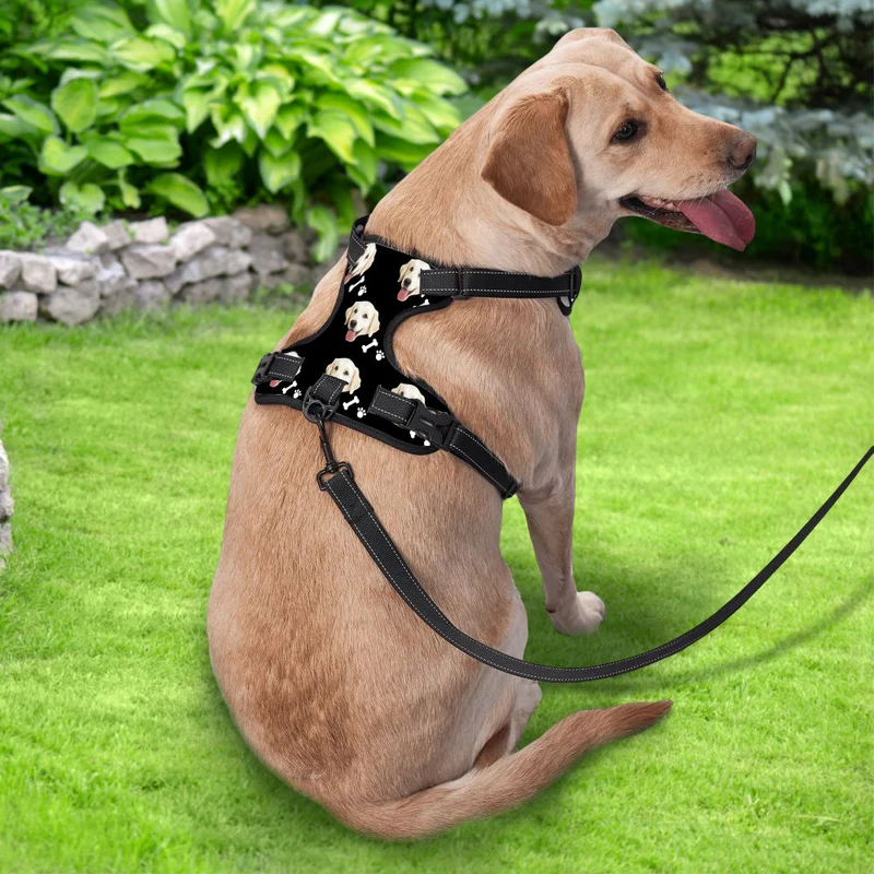 Hundegeschirr Einstellbare reflektierende Weste personalisiert