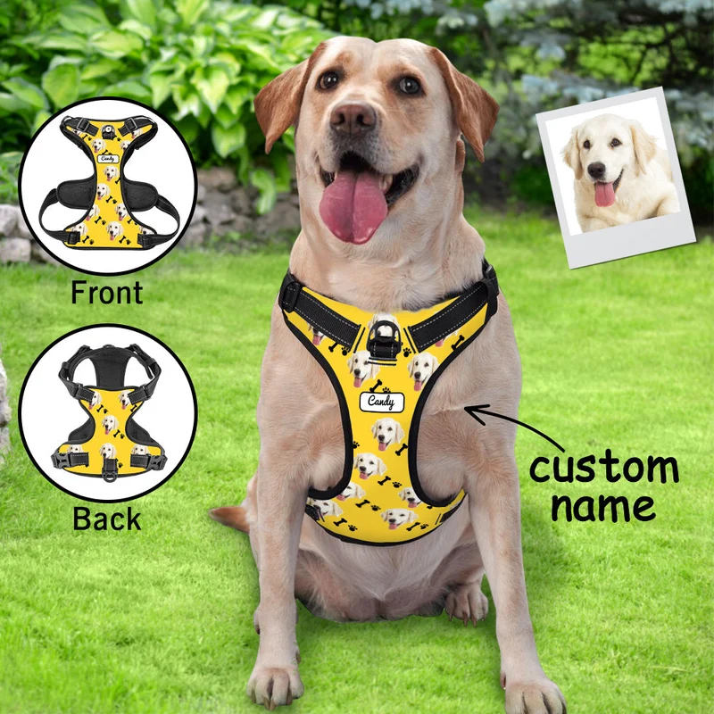 Hundegeschirr Einstellbare reflektierende Weste personalisiert