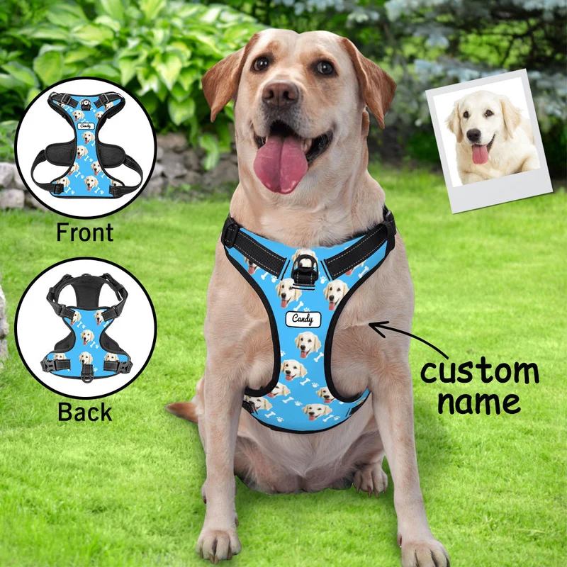 Hundegeschirr Einstellbare reflektierende Weste personalisiert
