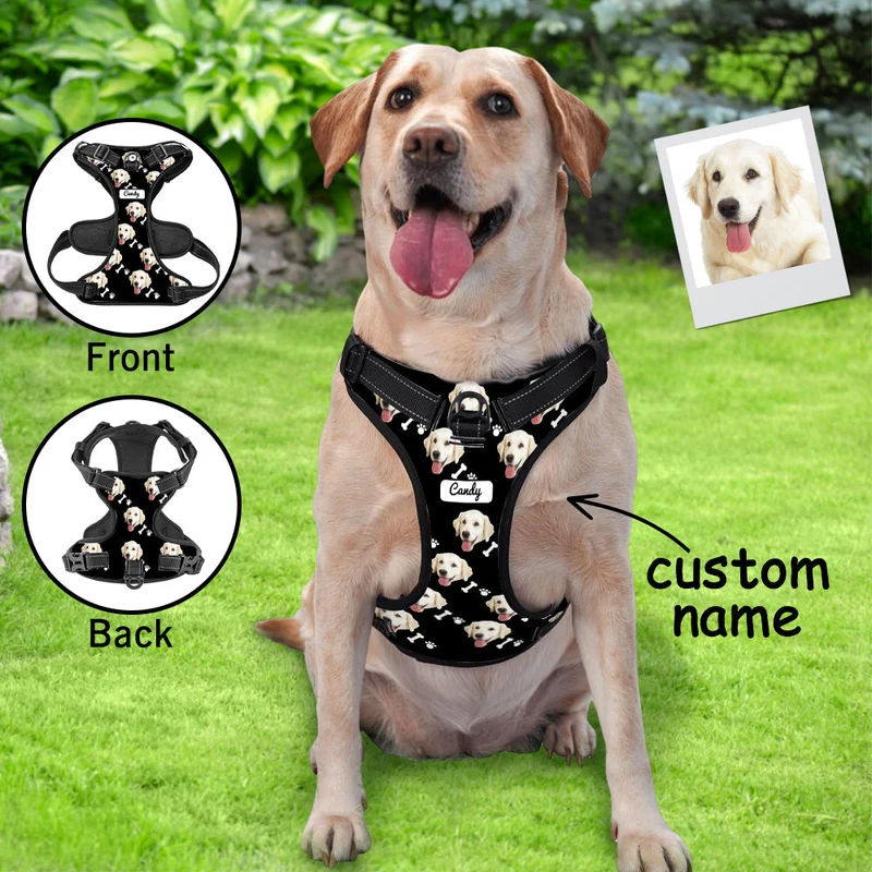 Hundegeschirr Einstellbare reflektierende Weste personalisiert
