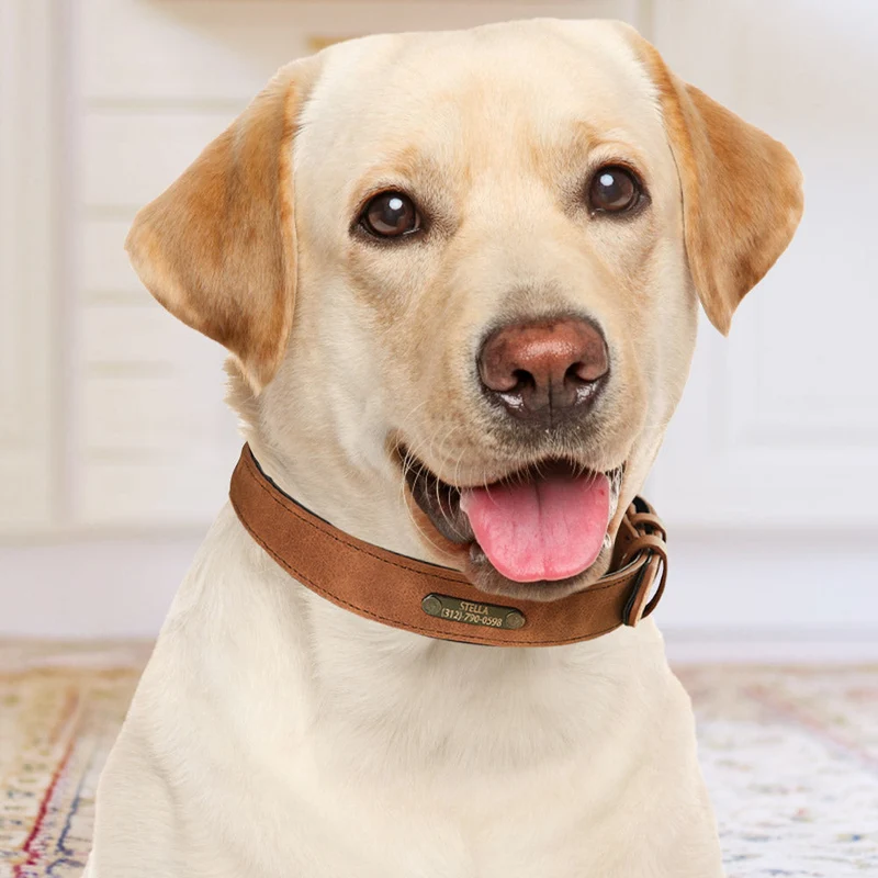 Leder Hundehalsband Personalisiert - Geschenk für Tierliebhaber