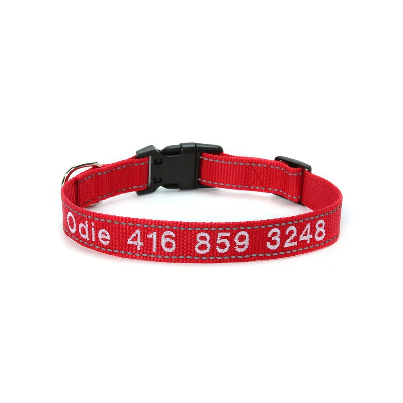 Personalisiertes Hundehalsband für Hundeleine