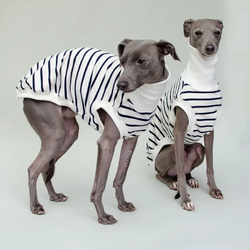 Hundeshirt "BRETAGNE" off white-streifen