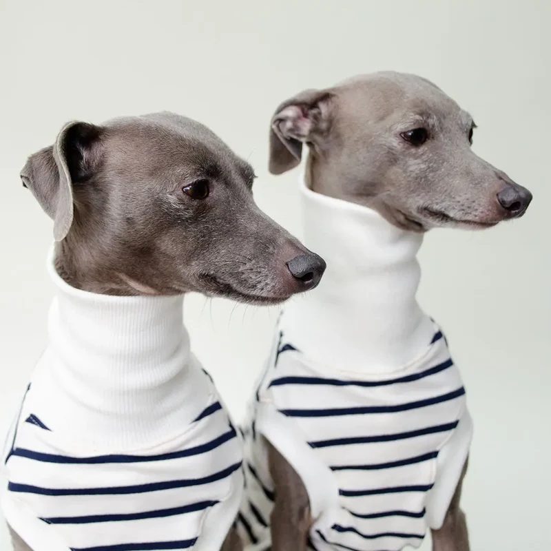 Hundeshirt "BRETAGNE" off white-streifen