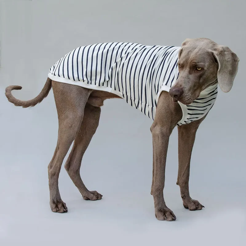 Hundeshirt "BRETAGNE" off white-streifen