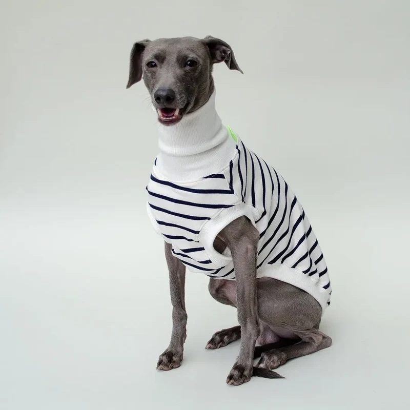 Hundeshirt "BRETAGNE" off white-streifen
