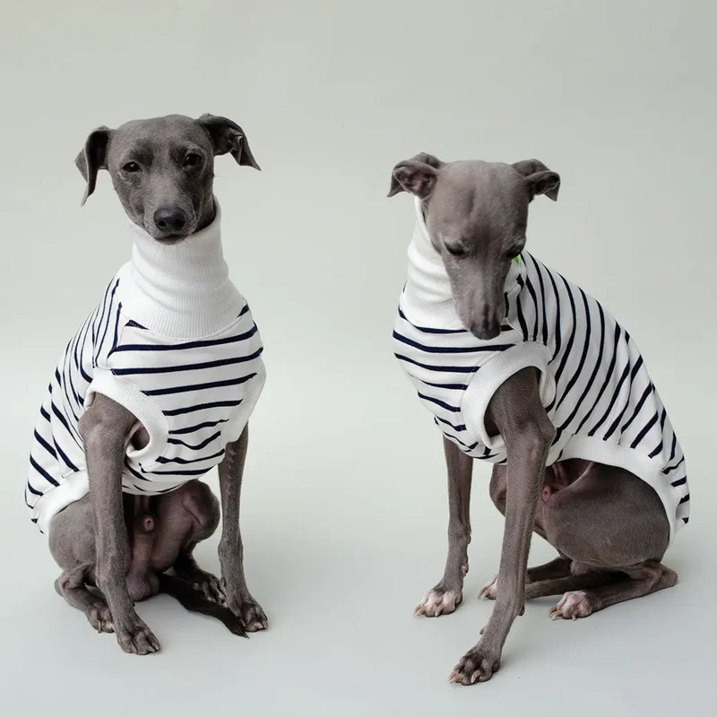 Hundeshirt "BRETAGNE" off white-streifen