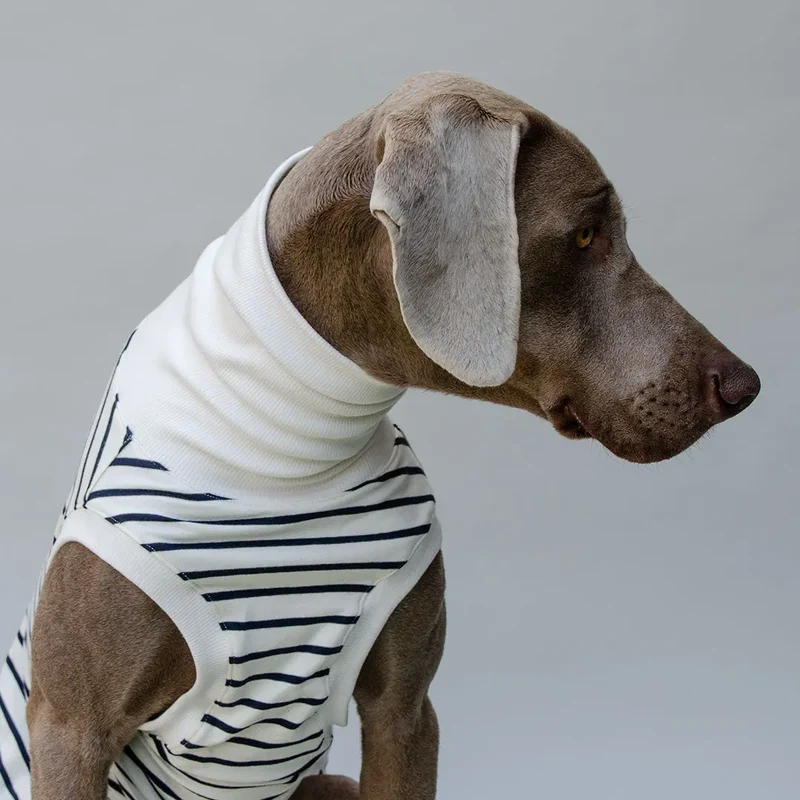 Hundeshirt "BRETAGNE" off white-streifen