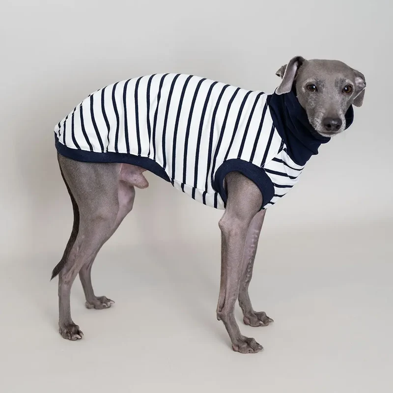 Hundeshirt "BRETAGNE" off white-streifen