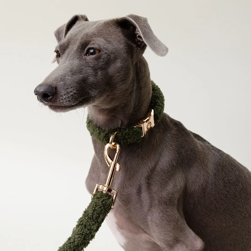 Kuscheliges Hundehalsband „Teddybaer“ -oliv