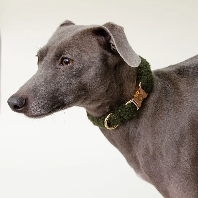 Kuscheliges Hundehalsband „Teddybaer“ -oliv