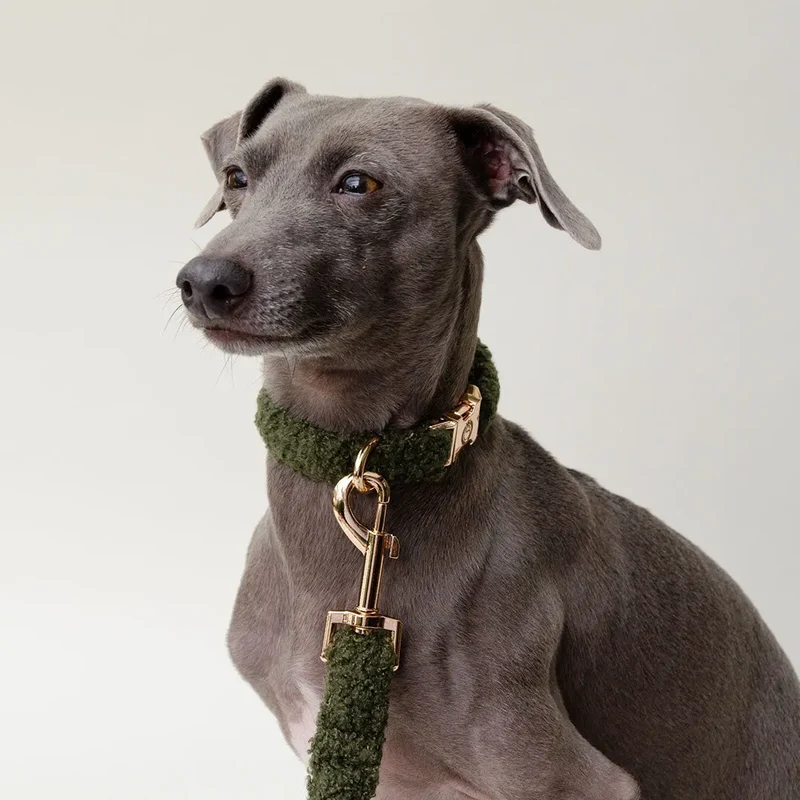 Kuscheliges Hundehalsband „Teddybaer“ -oliv