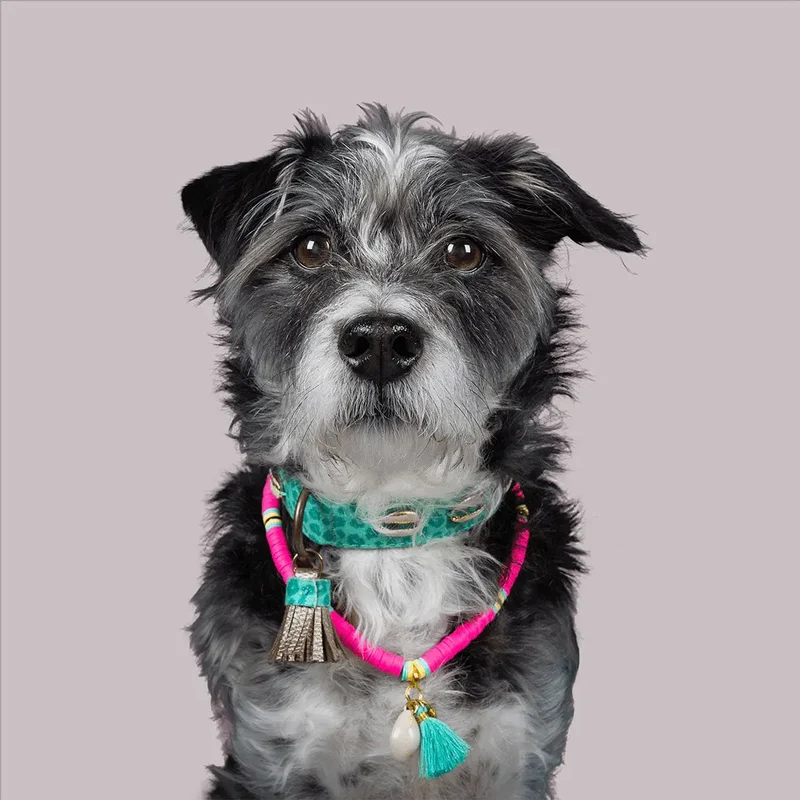 Bohemian Hundekette - "ibiza jewel PINK"