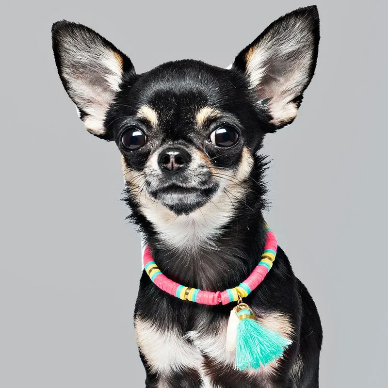 Bohemian Hundekette - "ibiza jewel PINK"
