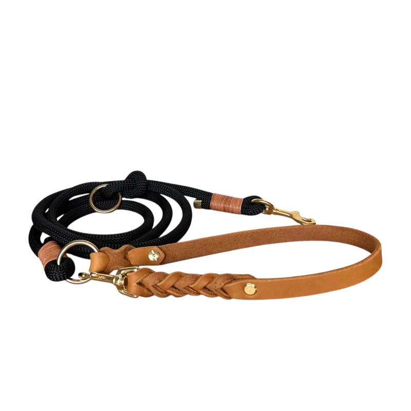 Set | Halsband & Leine 'Schwarz'