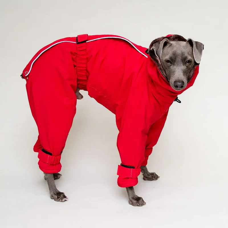 Kelly IG Snow - winter Hundeoverall - red - SDW