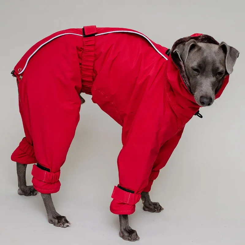 Kelly IG Snow - winter Hundeoverall - red - SDW