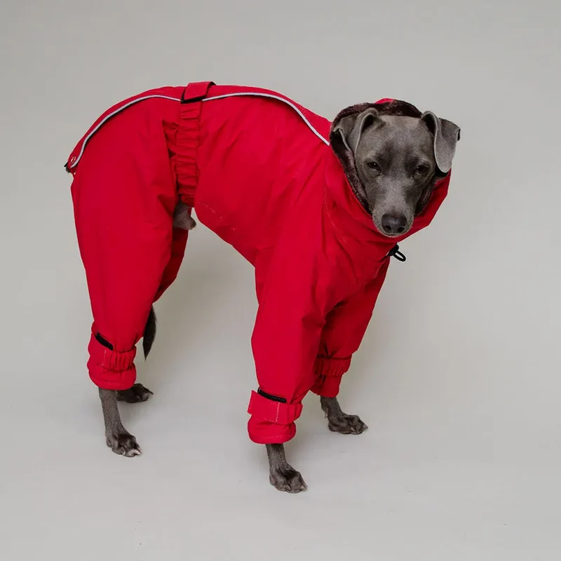 Kelly IG Snow - winter Hundeoverall - red - SDW