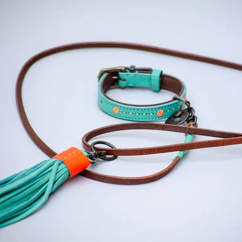 "Mix&Match" Lederleine für kleine Hunde