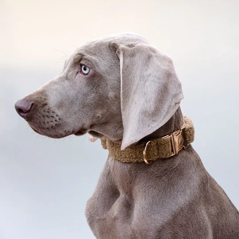 Kuscheliges Halsband „Teddybaer“