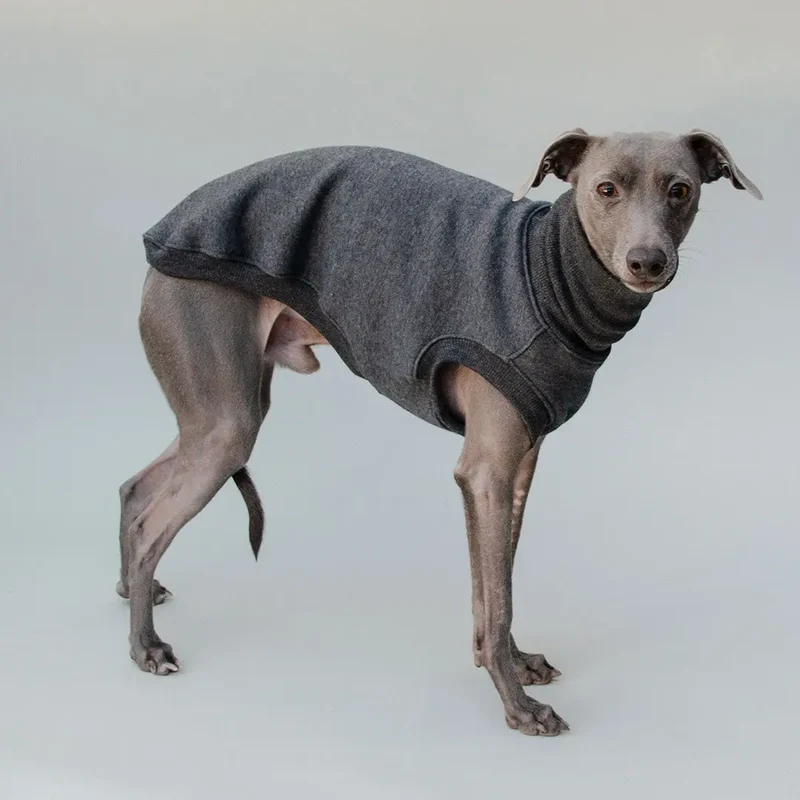 Sweatshirt für Hunde "LOUNGE" - anthrazit