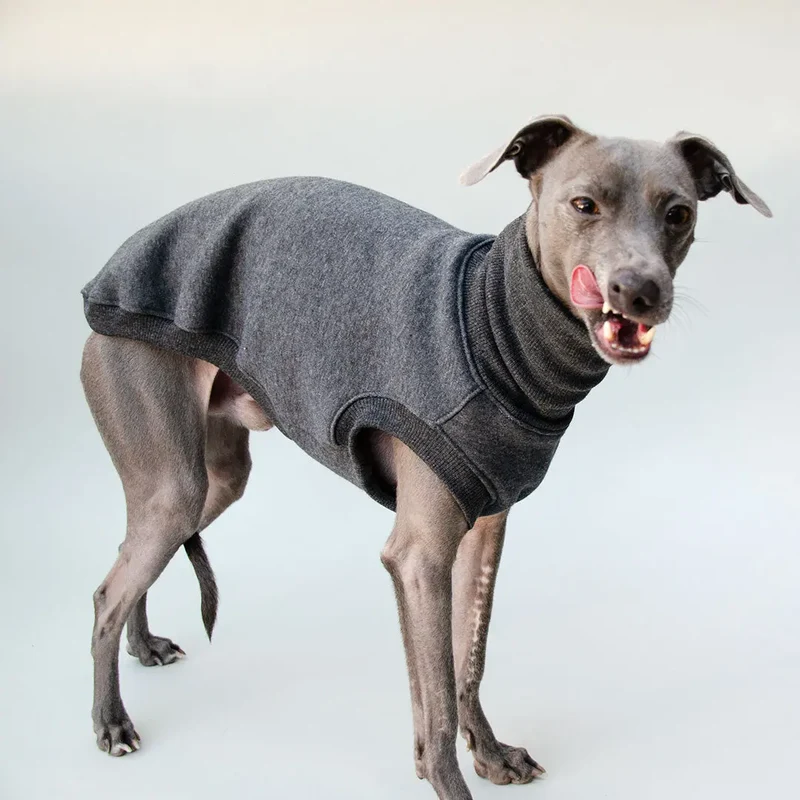 Sweatshirt für Hunde "LOUNGE" - anthrazit