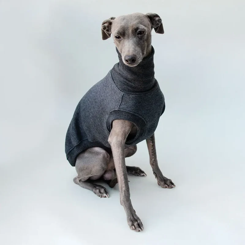 Sweatshirt für Hunde "LOUNGE" - anthrazit