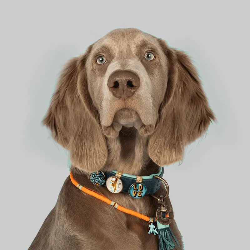 Bohemian Hundekette - "ibiza jewel ORANGE"